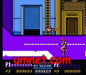 game pic for Double Dragon 3 In 1 Nintendo